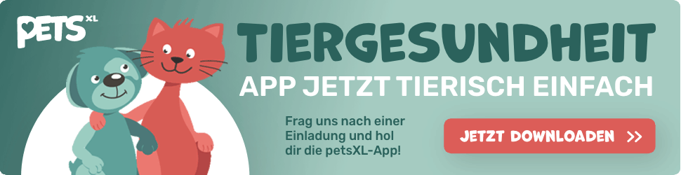 banner kleintier gruen 970x250 jetzt entdecken